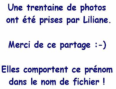 2010-02-20_17-24-03_Liliane-Panasonic-DMC-F278
